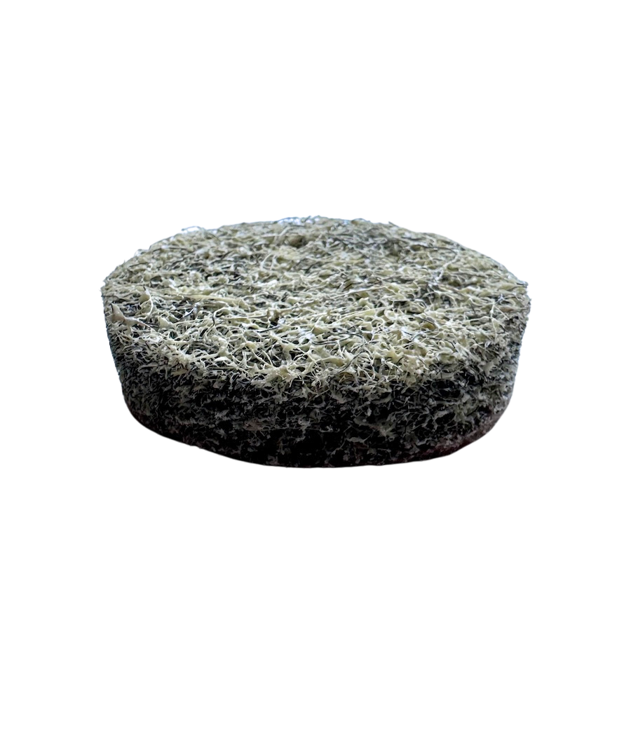 80mm wool resin polishing pad used for concrete edge and detail polishing