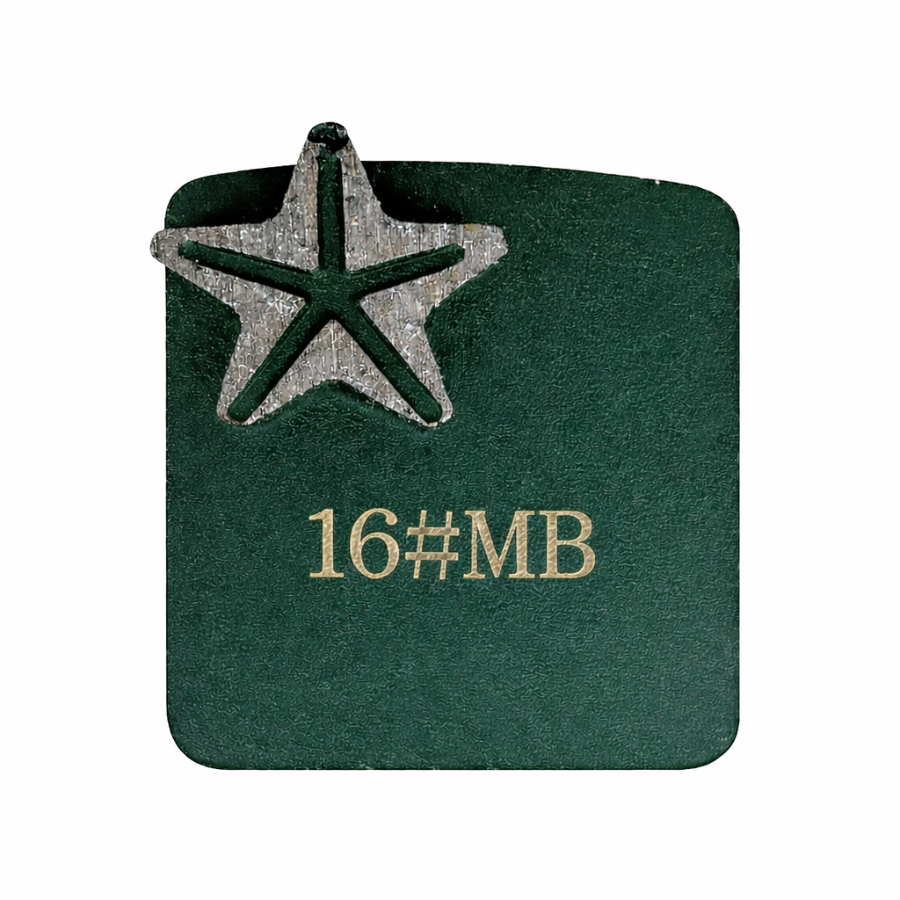 Redi Lock single star diamond grinding segment 16 grit medium bond