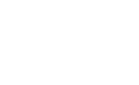 Paddle Wholesale
